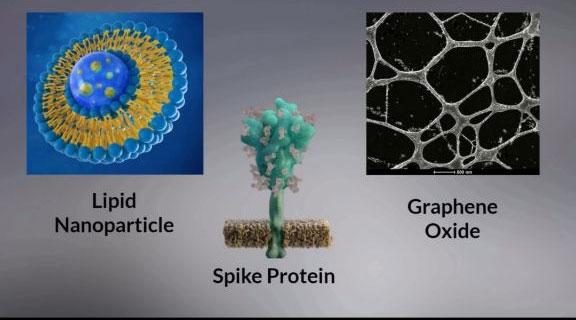 Nanopartikkeli, piikkiproteiini, grafeenioksidi.